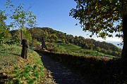 43 Abbazia di S. Egidio e colle Montealbano